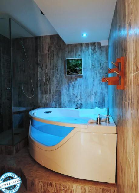Le Cocon - Lofts & Lakes Certified 4-stars Annecy